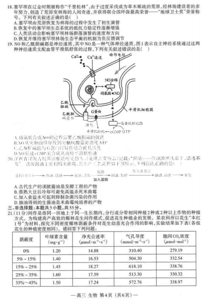 2024江西南昌高三零模测试生物试题及答案解析