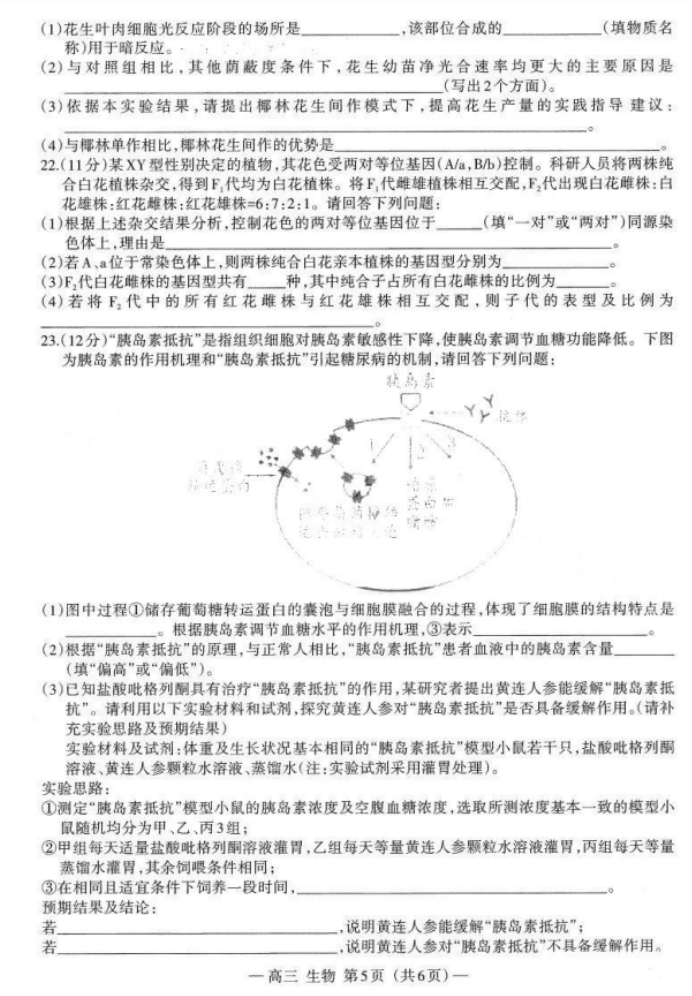 2024江西南昌高三零模测试生物试题及答案解析