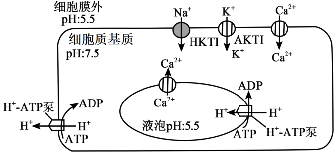 2024台山一中高三第一次月考生物试题及答案解析