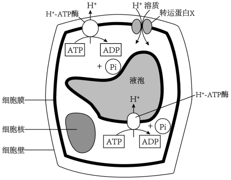 学科网(www.zxxk.com)--教育资源门户，提供试卷、教案、课件、论文、素材以及各类教学资源下载，还有大量而丰富的教学相关资讯！