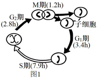 学科网(www.zxxk.com)--教育资源门户，提供试卷、教案、课件、论文、素材以及各类教学资源下载，还有大量而丰富的教学相关资讯！