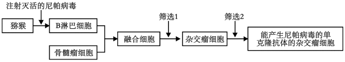 学科网(www.zxxk.com)--教育资源门户，提供试卷、教案、课件、论文、素材以及各类教学资源下载，还有大量而丰富的教学相关资讯！