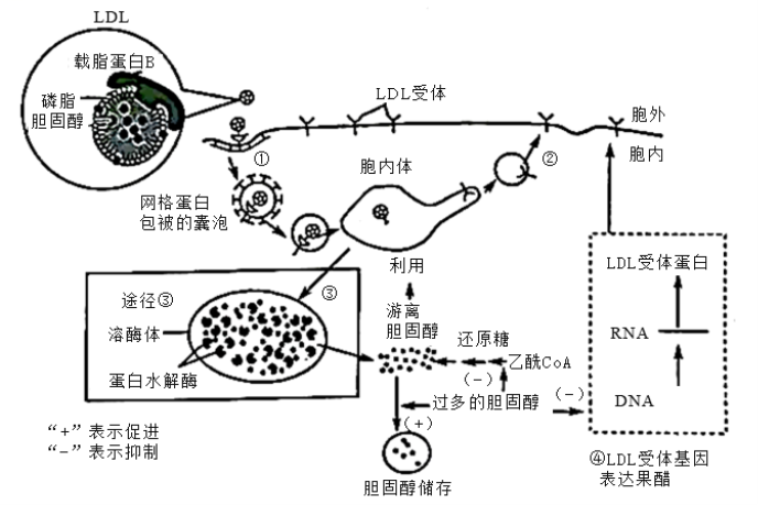 学科网(www.zxxk.com)--教育资源门户，提供试卷、教案、课件、论文、素材以及各类教学资源下载，还有大量而丰富的教学相关资讯！