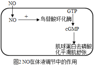 学科网(www.zxxk.com)--教育资源门户，提供试卷、教案、课件、论文、素材以及各类教学资源下载，还有大量而丰富的教学相关资讯！