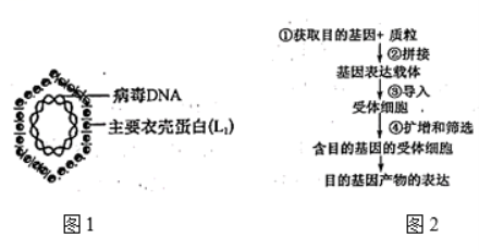 学科网(www.zxxk.com)--教育资源门户，提供试卷、教案、课件、论文、素材以及各类教学资源下载，还有大量而丰富的教学相关资讯！