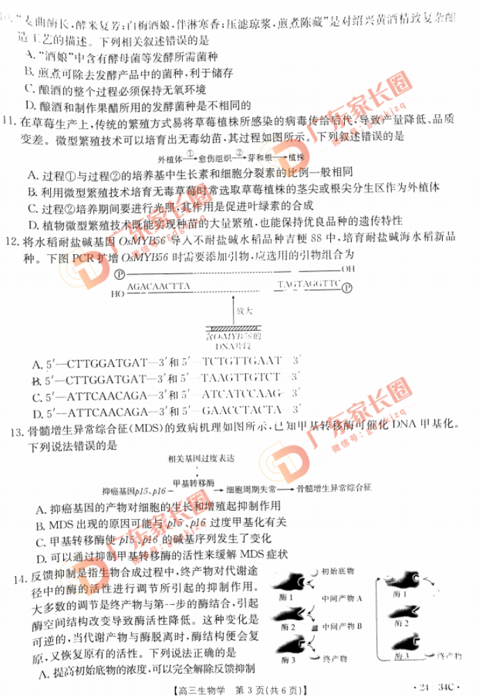 2024届广东高三9月金太阳联考生物试题及答案解析