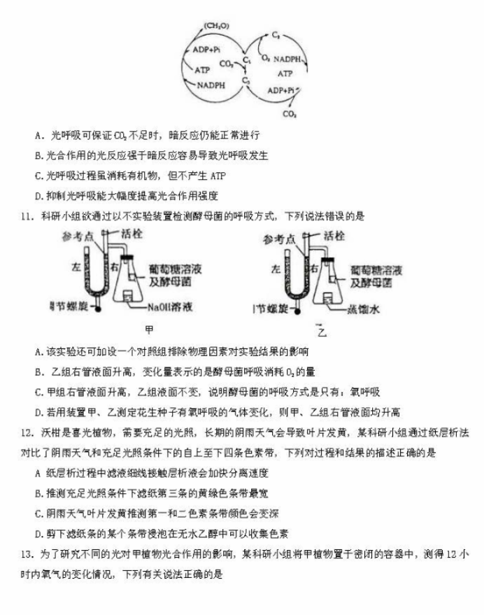 2024东北师大附中高三第一次摸底考生物试题及答案