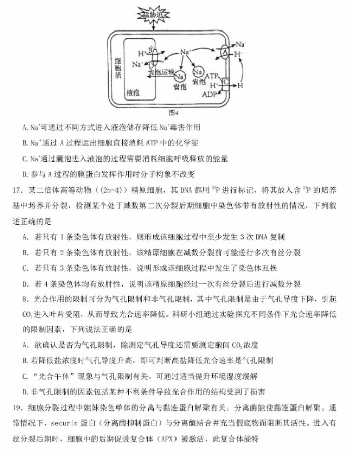 2024东北师大附中高三第一次摸底考生物试题及答案