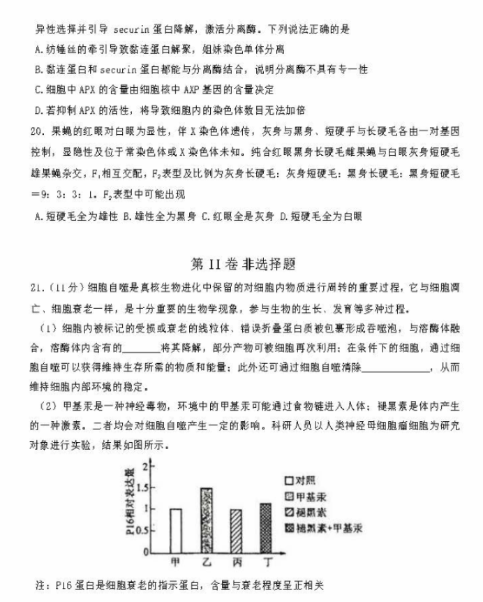 2024东北师大附中高三第一次摸底考生物试题及答案