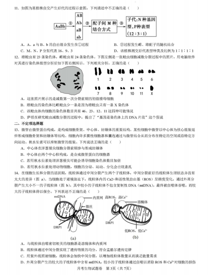 湖南省衡阳八中2024高三10月月考生物试题及答案解析