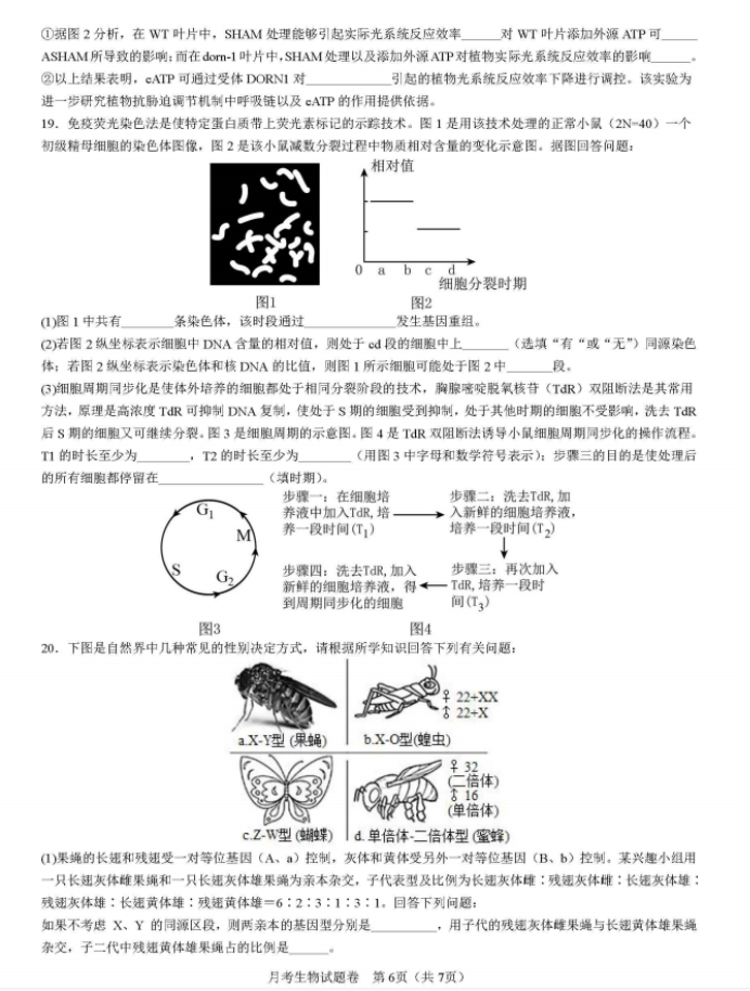 湖南省衡阳八中2024高三10月月考生物试题及答案解析