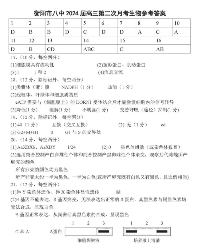 湖南省衡阳八中2024高三10月月考生物试题及答案解析