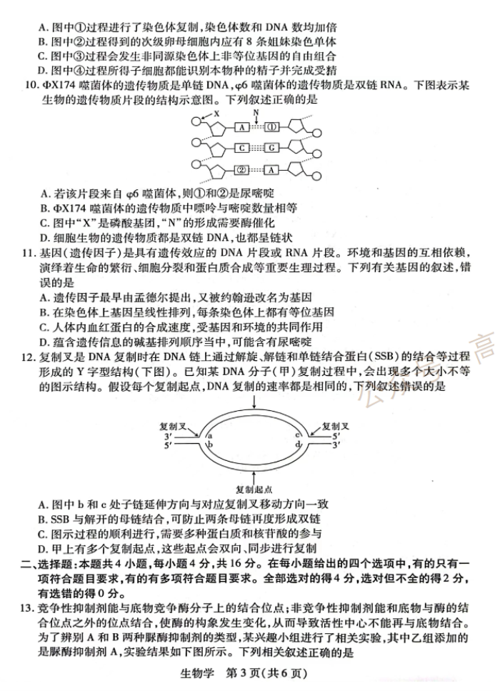 江西稳派2024高三10月联考生物试题及答案解析