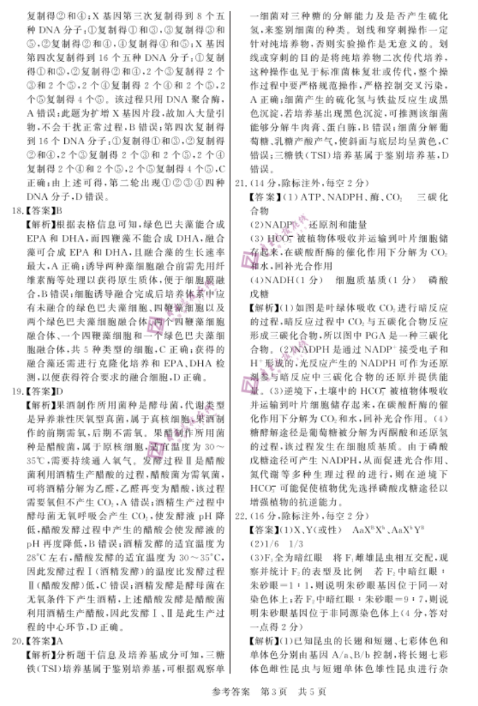 安徽省皖东智校协作联盟2024高三10月联考生物试题及答案