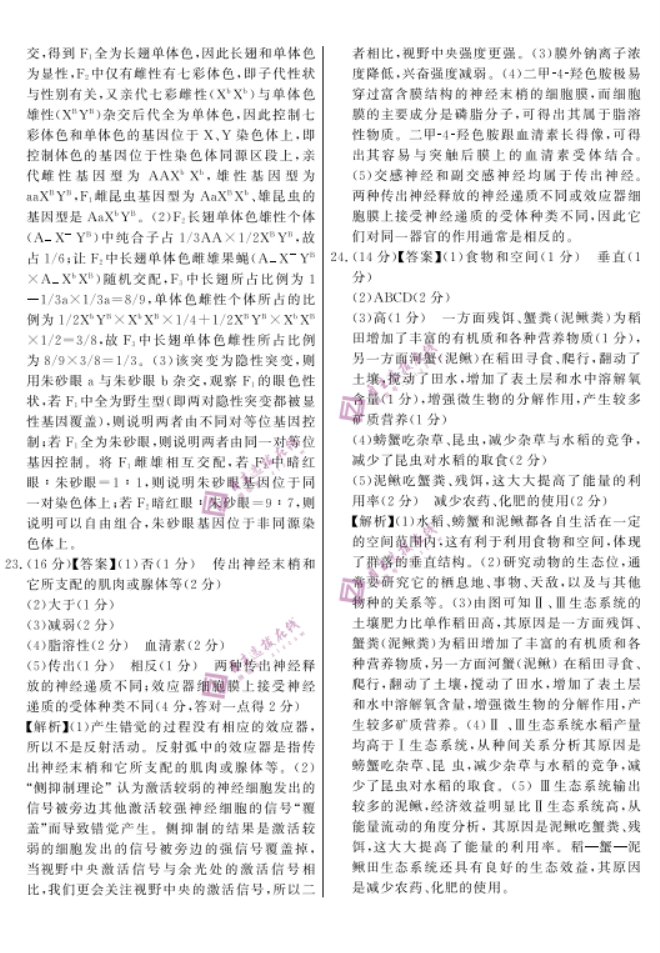安徽省皖东智校协作联盟2024高三10月联考生物试题及答案