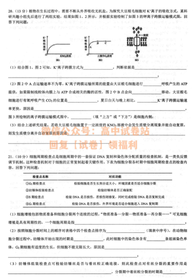 安徽师徽联盟2024届高三10月质量检测生物试题及答案