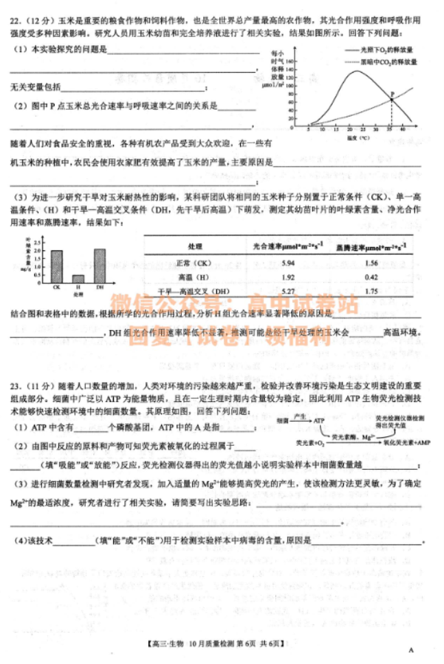 安徽师徽联盟2024届高三10月质量检测生物试题及答案