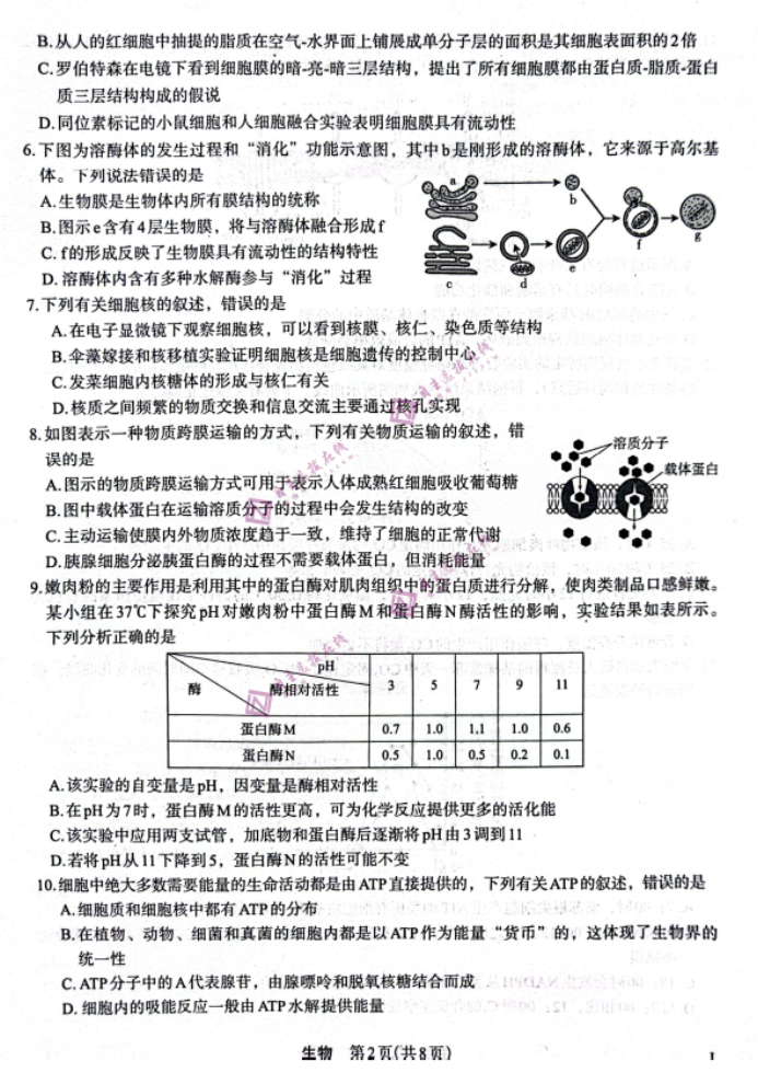 陕西菁师联盟2024高三10月质量监测考试生物试题及答案