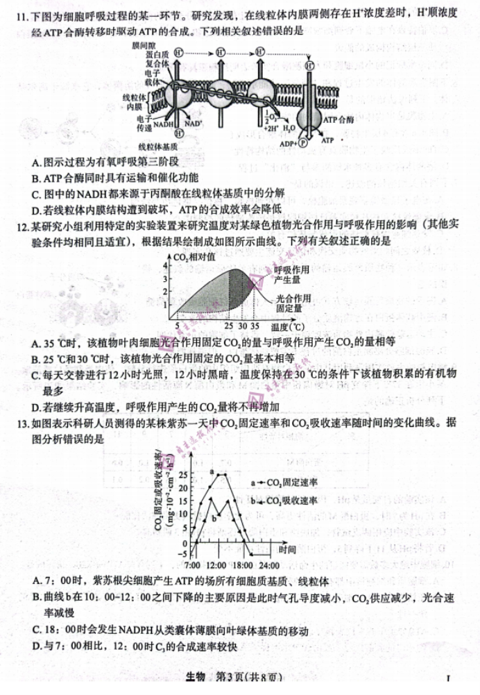 陕西菁师联盟2024高三10月质量监测考试生物试题及答案