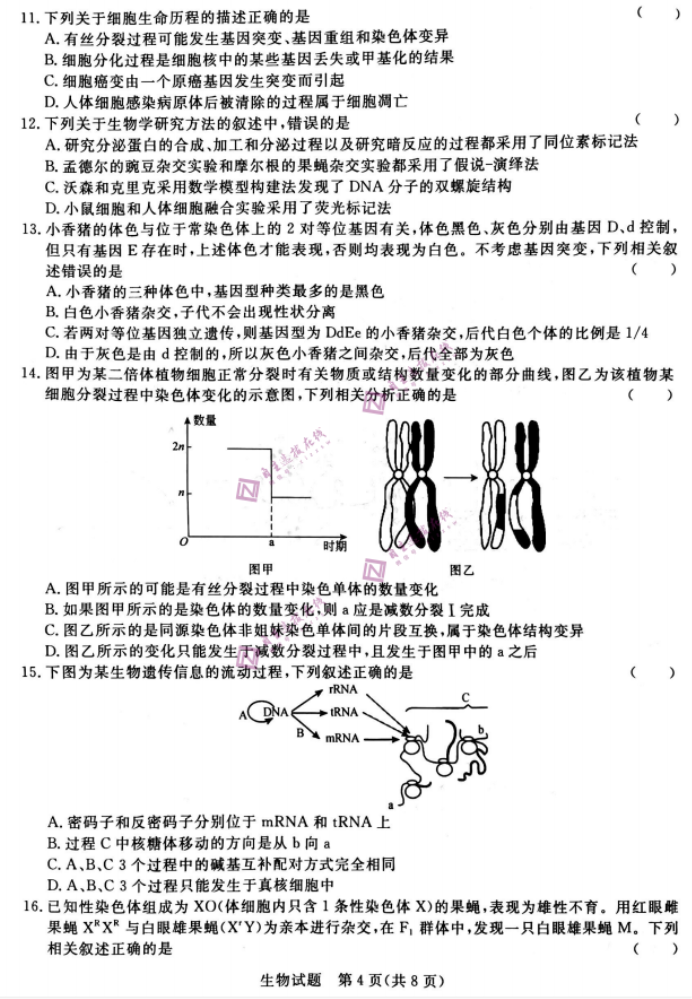 河南青桐鸣2024高三10月大联考生物试题及答案解析