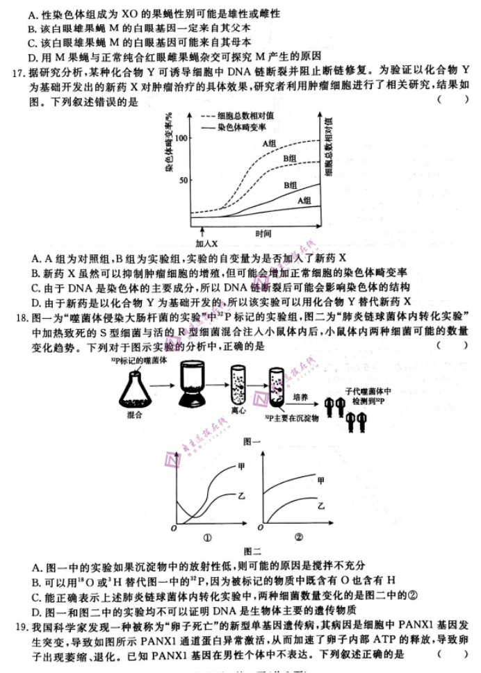 河南青桐鸣2024高三10月大联考生物试题及答案解析