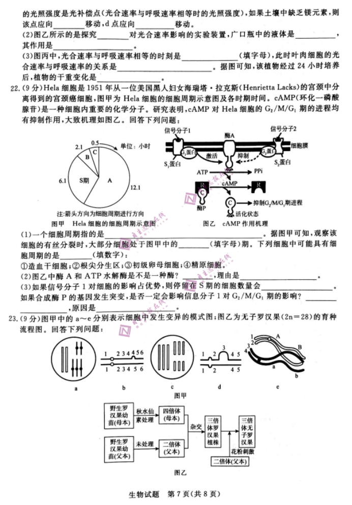 河南青桐鸣2024高三10月大联考生物试题及答案解析