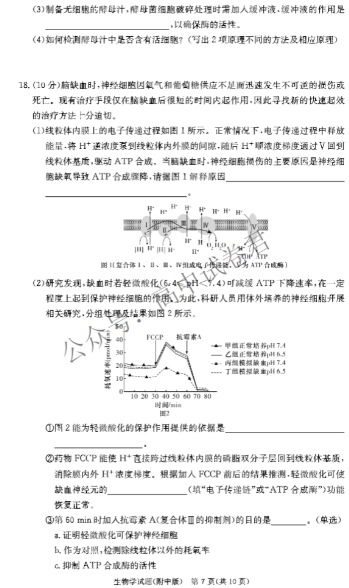 湖南师大附中2024高三月考(二)生物试题及答案解析