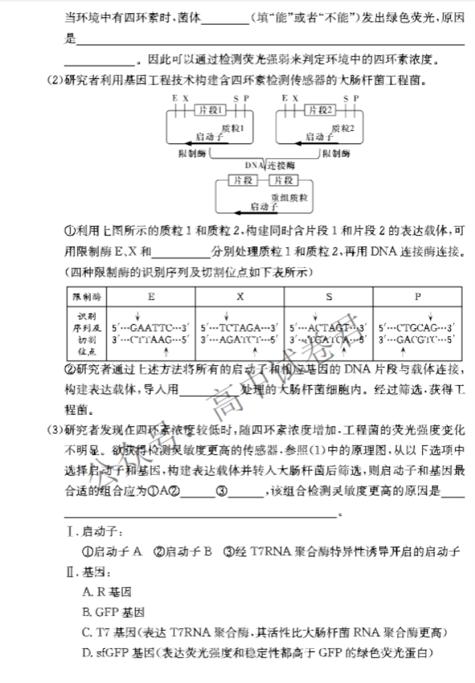 湖南师大附中2024高三月考(二)生物试题及答案解析