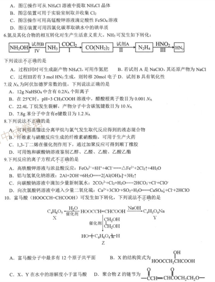 2024浙江强基联盟高三10月联考化学试题及答案解析