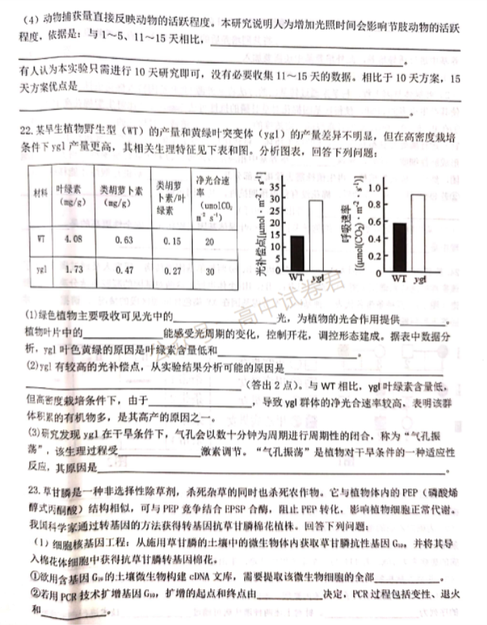 2024浙江强基联盟高三10月联考生物试题及答案解析