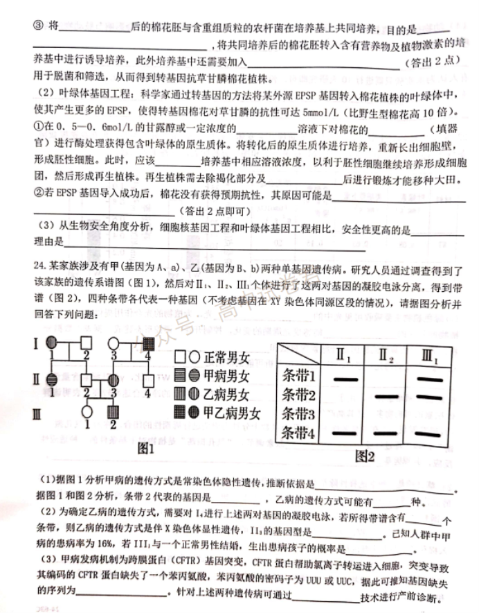 2024浙江强基联盟高三10月联考生物试题及答案解析