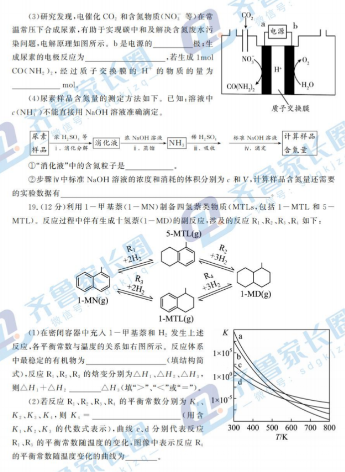 山东潍坊2024高三10月过程性检测化学试题及答案解析