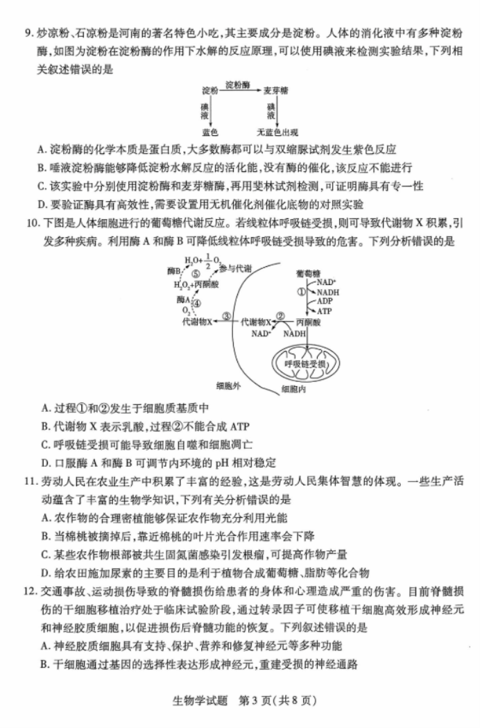 河南天一大联考2024高三阶段性测试二生物试题及答案解析