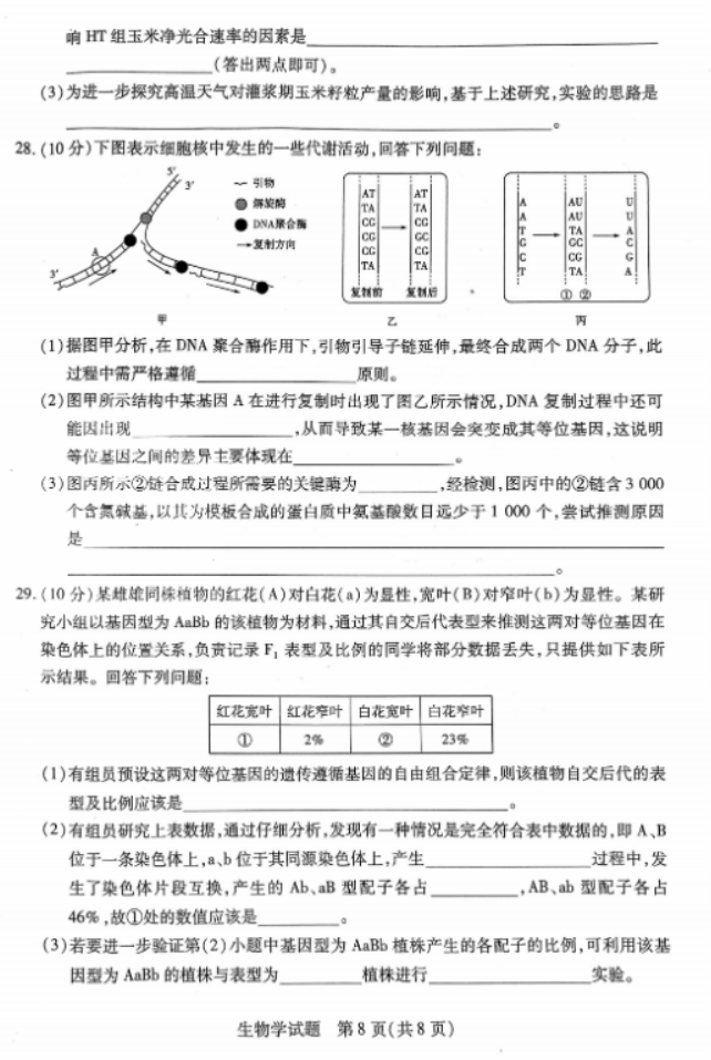 河南天一大联考2024高三阶段性测试二生物试题及答案解析