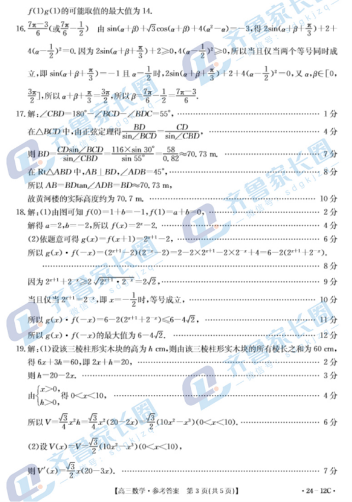 山东金太阳2024高三上学期10月联考数学试题及答案解析