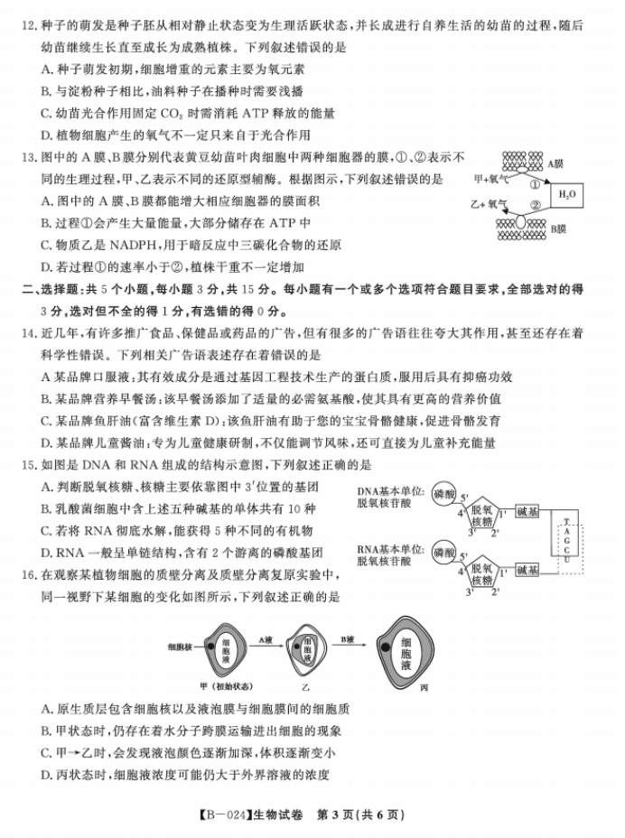 安徽皖江名校2024高三10月阶段性考试生物试题及答案解析