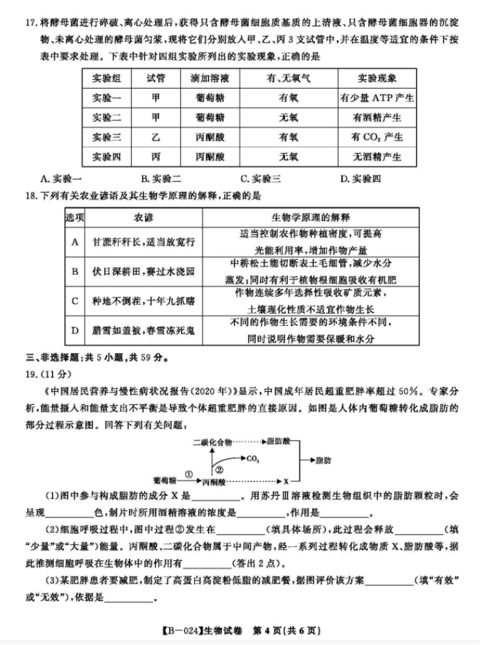 安徽皖江名校2024高三10月阶段性考试生物试题及答案解析