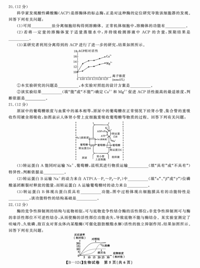 安徽皖江名校2024高三10月阶段性考试生物试题及答案解析