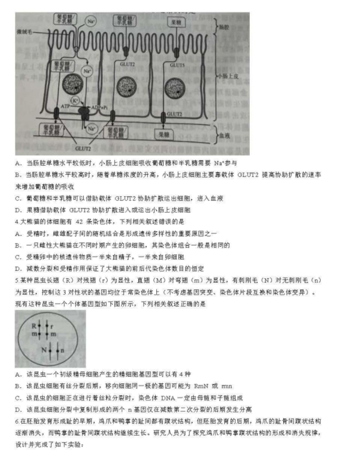 辽宁名校联盟2024高三10月联考生物试题及答案解析