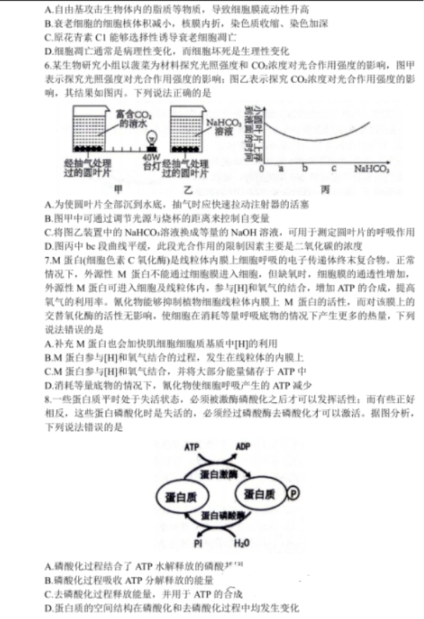 山东2024高三10月潍坊五县市联考生物试题及答案解析