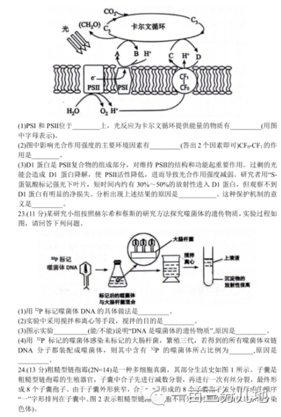 山东2024高三10月潍坊五县市联考生物试题及答案解析