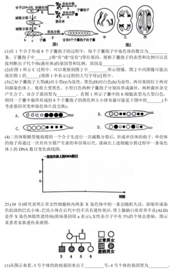 山东2024高三10月潍坊五县市联考生物试题及答案解析