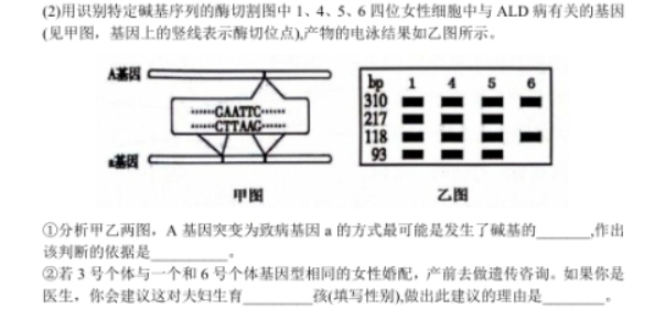 山东2024高三10月潍坊五县市联考生物试题及答案解析