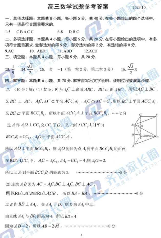 山东济南2024高三10月联考数学试题及答案解析