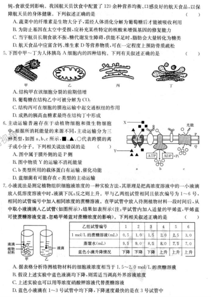 湖北2024高三金太阳10月百校联考生物试题及答案解析