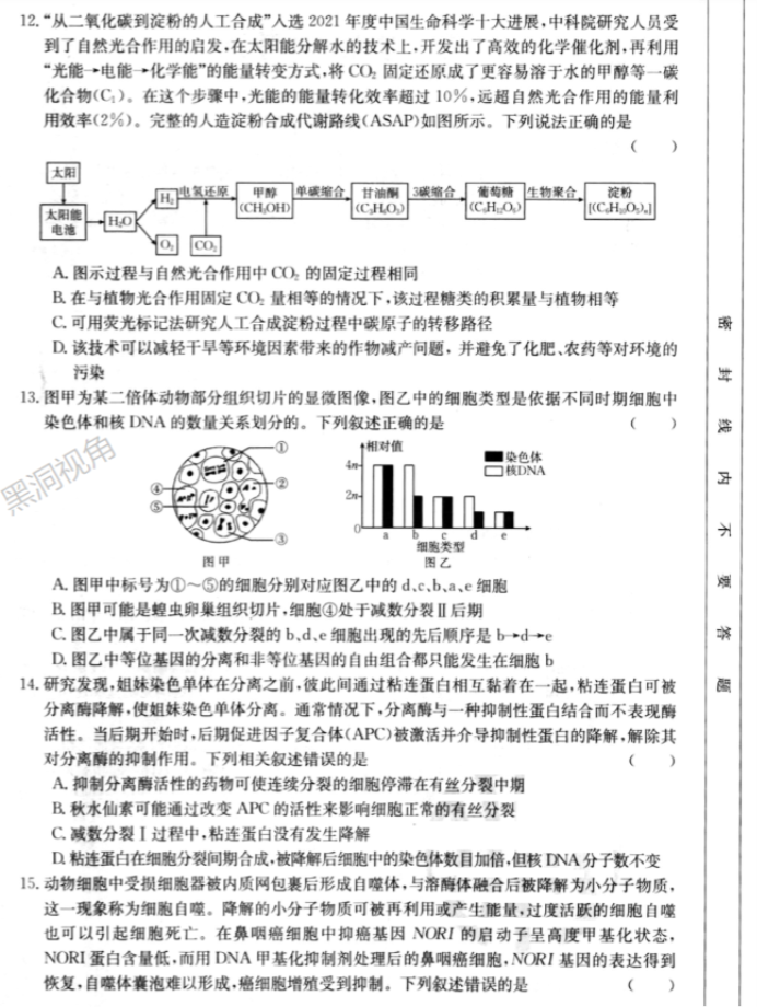 湖北2024高三金太阳10月百校联考生物试题及答案解析