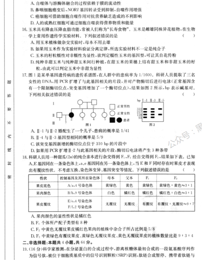 湖北2024高三金太阳10月百校联考生物试题及答案解析