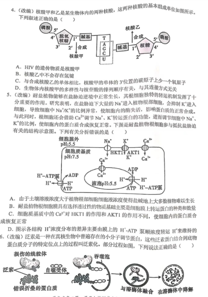 重庆七校2024高三上学期第一次月考生物试题及答案解析