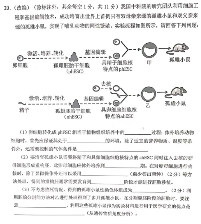 重庆七校2024高三上学期第一次月考生物试题及答案解析