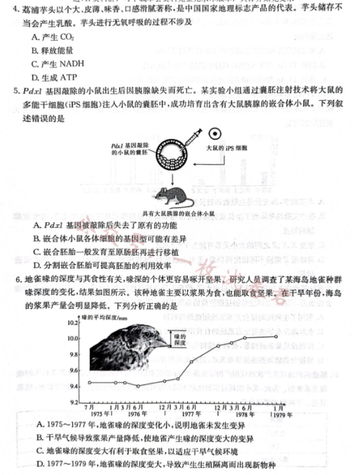 广西2024高三10月联合适应性训练检测生物试题及答案